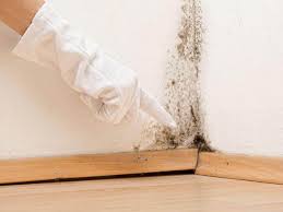 Best Water Damage & Mold Remediation  in Cliffside Park, NJ